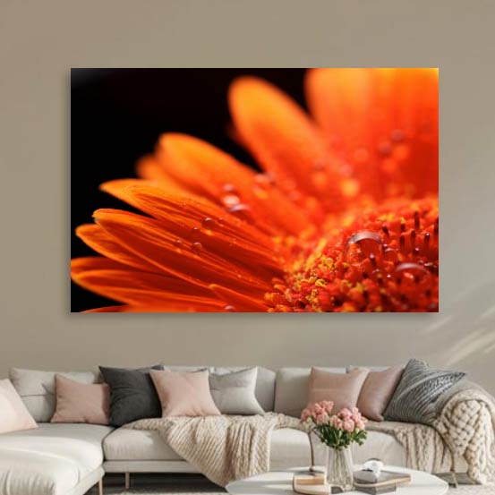 Bloemen foto's en schilderijen