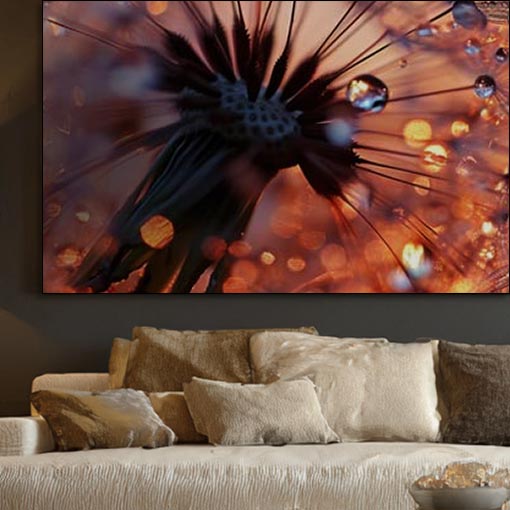 Dandelion schilderijen en foto's