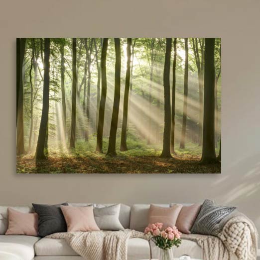 Natuurfoto's en schilderijen