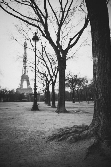 Eiffel's garden