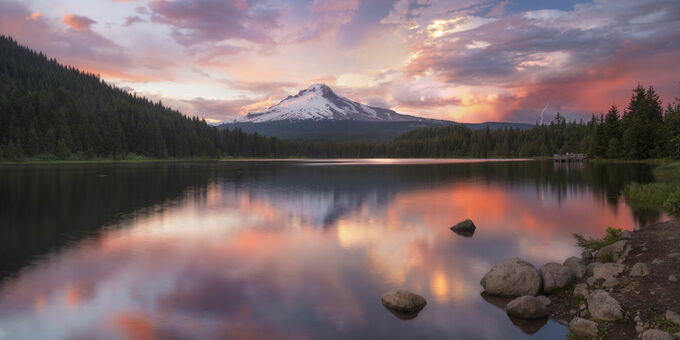 Trillium Lightning