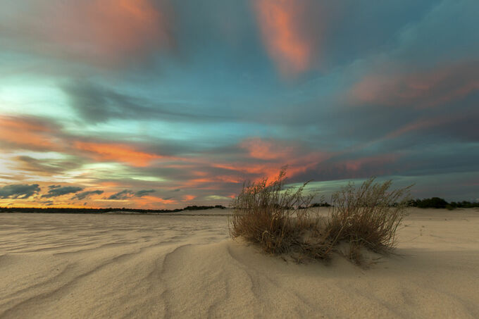 Dutch Desert