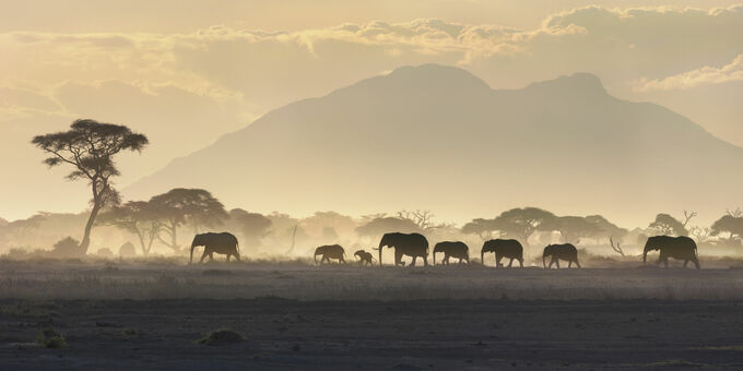 Amboseli