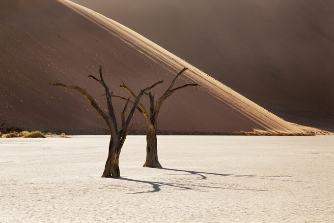 Deadvlei