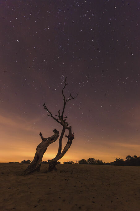 The Dunes at Night