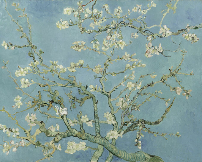 Amandelbloesem - V. van Gogh