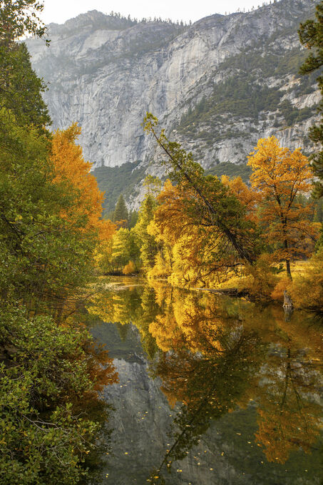 Autumn colors in Yosemite Park