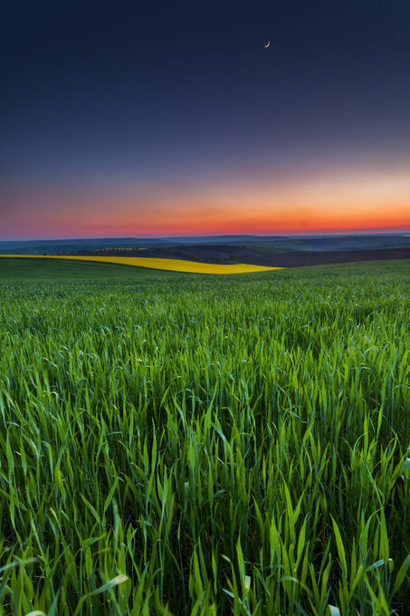 Twilight Fields