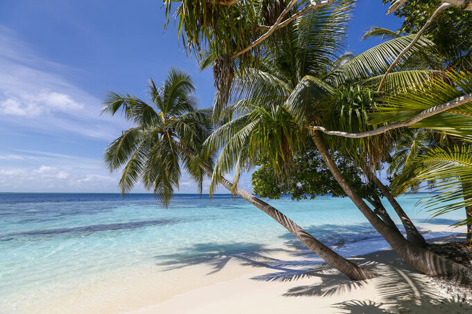 Palmen en zee, Malediven