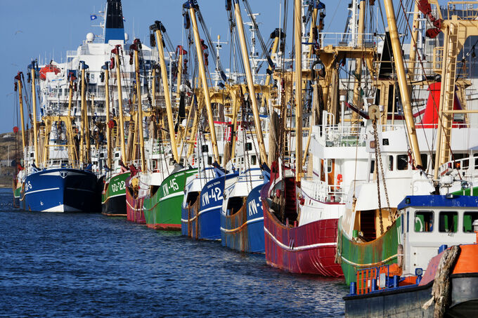 Haven IJmuiden