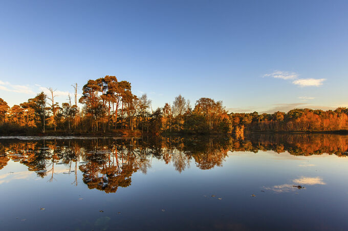 Autumn Reflections