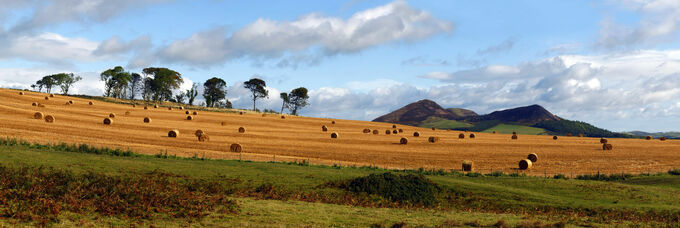 Schotland Eildons