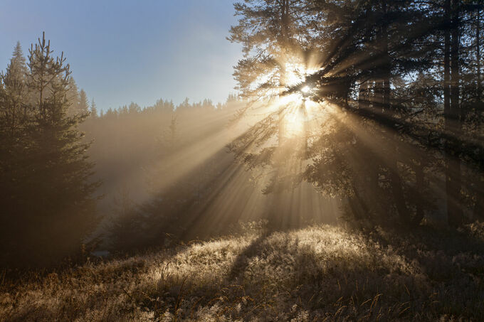 Divine Beams