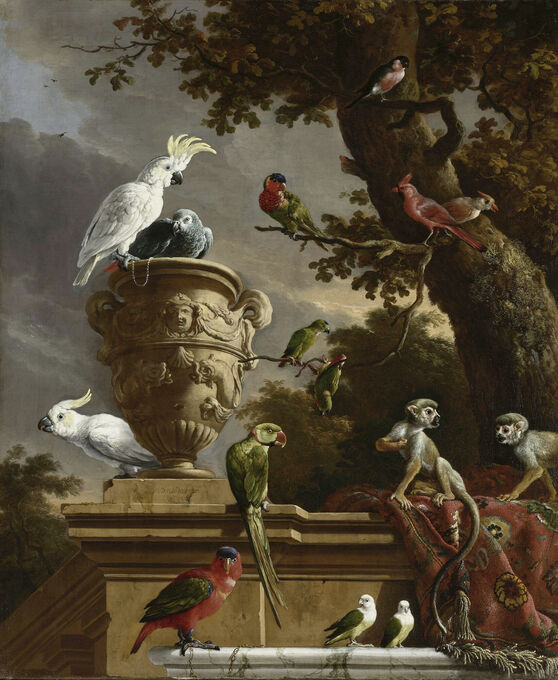 De Menagerie - Melchior d' Hondecoeter