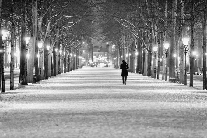 Lange Voorhout, Den Haag