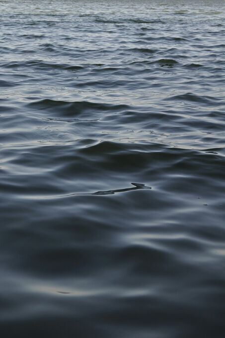 Feet in the water