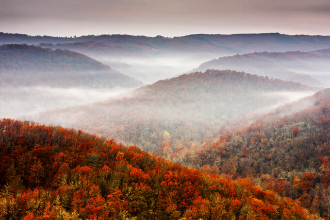 Autumn Fog