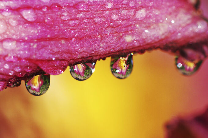 Water droplets