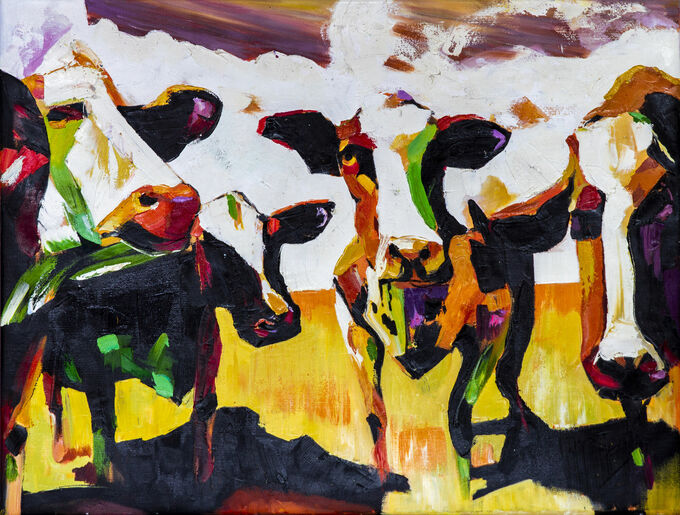 Colored Cows