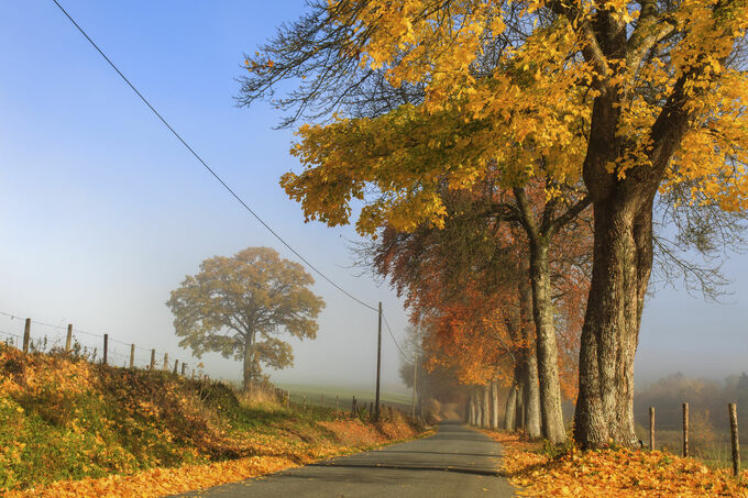 The Magic of Autumn