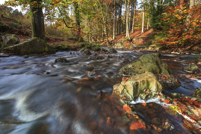 Autumn at River Hoegne