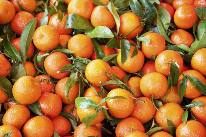 Tangerines with leaves in the market 