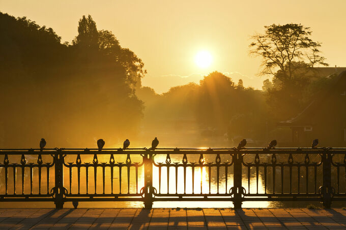 Amsterdam waking up