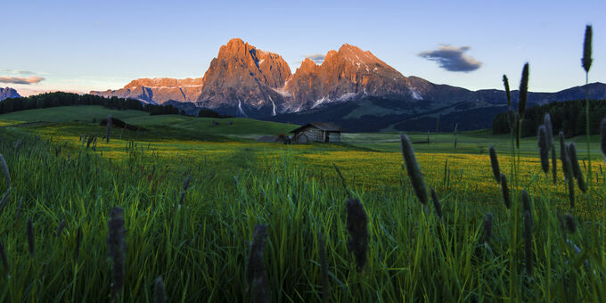 Alpe di Siusi, Italie