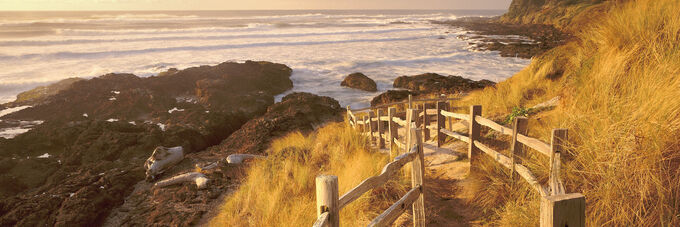 Path to the beach