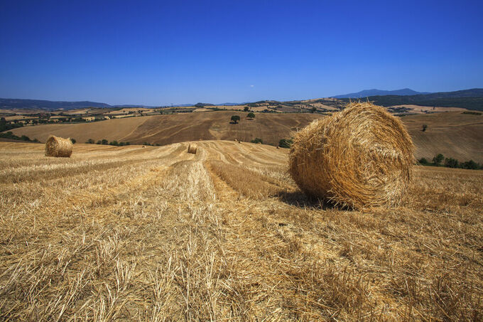 A Tuscan Summer