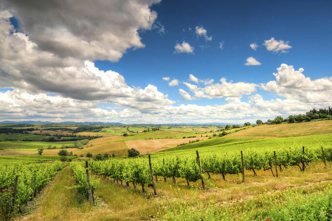 Tuscany fields