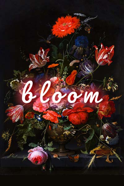 Bloom