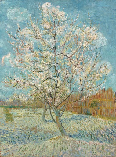 van Gogh - De Roze Perzikboom