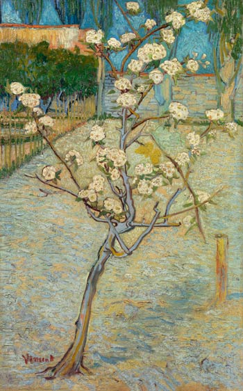 Perenboompje in bloei - Van Gogh