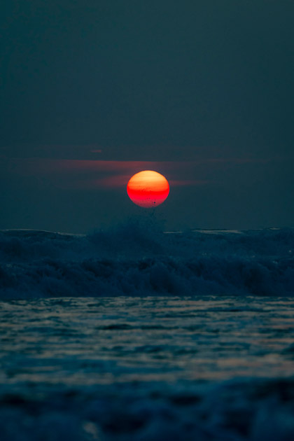Crimson Tide