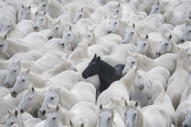 Liggend 3:2 (taupe + bank) template A