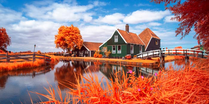 Zaanse Schans Droom