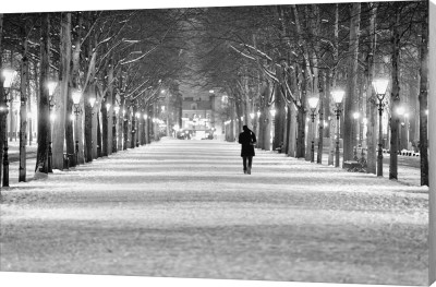 Lange Voorhout