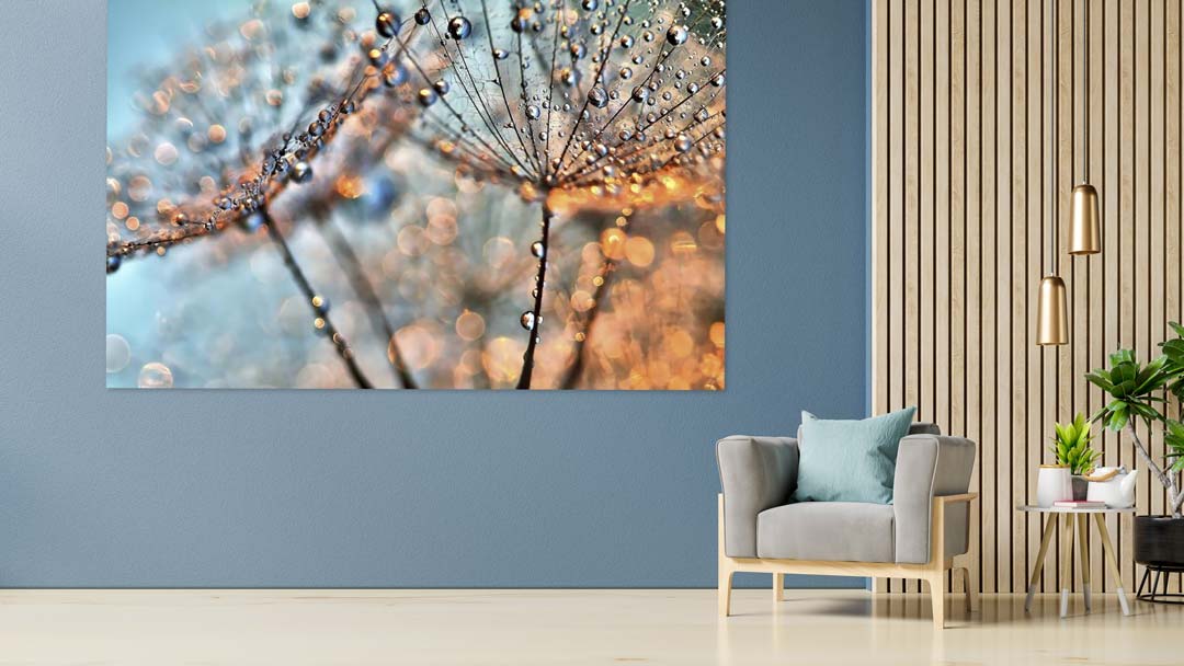 Groot Schilderij kopen? Wallstars wanddecoratie