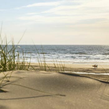 Akoestisch schilderij: Zeezicht en strand